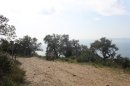 De Castel Maou
